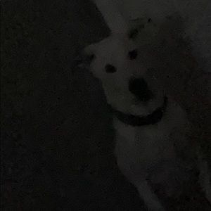 Meet your Posher, Zac